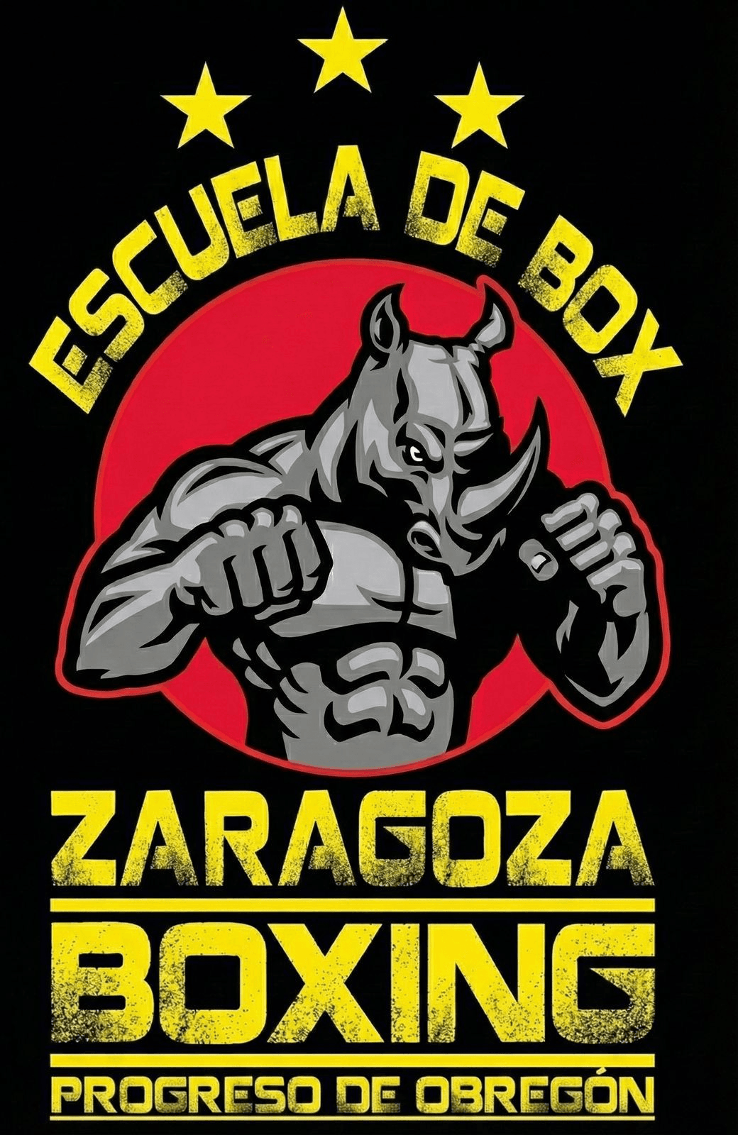 Zaragoza Boxing